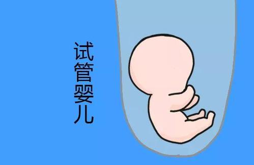 中医妇科
